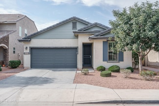 23120 N 126th Ln, Sun City West, AZ 85375