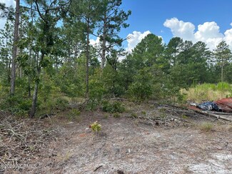 432 Brian's Woods Rd, Maple Hill, NC 28454