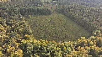 6647 Colton Rd, La Fayette, NY 13084
