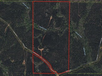 0 Carlisle Rd Unit 220883, Woodland, GA 31836