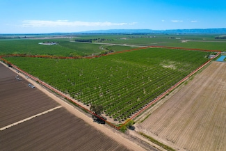22271 County Road 98, Woodland, CA 95695