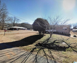 9 Meadow Ln, Eastaboga, AL 36260