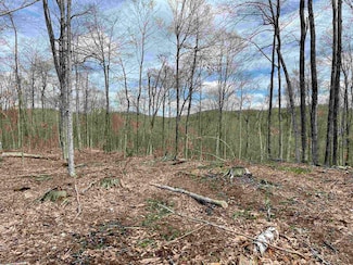 0 Grandview Rd, Williamstown, VT 05679