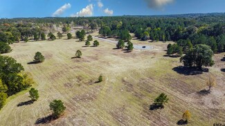 15588 Aniston Ln, Flint, TX 75762