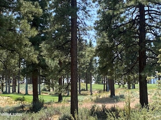 245 Redding Way Unit 226, Carson City, NV 89705