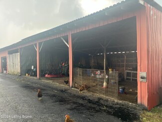 10244 Falls of Rough Rd, Falls of Rough, KY 40119