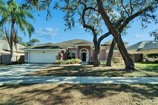 10424 Nightengale Dr, Riverview, FL 33569