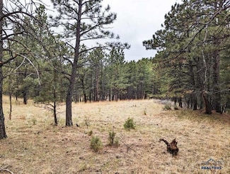 TBD Lot 6 Argyle Rd, Hot Springs, SD 57747