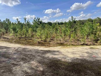 0 Massengill Pond Rd, Pleasant Grove, NC 27501