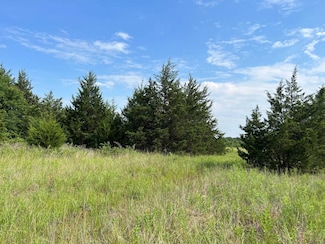 122 Knotty Pine Rd Unit Lot 17, Colbert, OK 74733