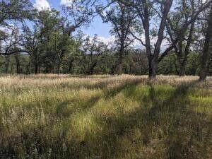 0 Palo Cedro Dr Unit 25-2484, Palo Cedro, CA 96073
