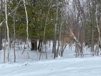 Parcel A Silver Strand Rd, Munro Township, MI 49755