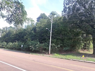1307 W Raines Rd, Memphis, TN 38109