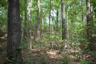 914 Park Swain Rd, Grand Junction, TN 38039