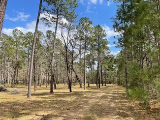 Lot 16 Amelia Dr, Anderson, TX 77830