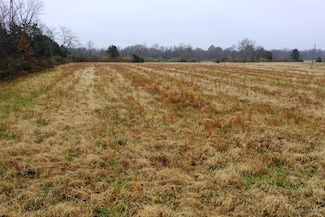 acres E US 22 & 3, Morrow, OH 45152