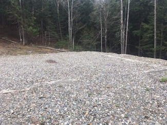 Lots 2&3 Maple Ridge Rd, Dedham, ME 04429