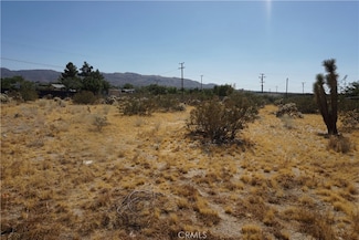 6101 Scenic Dr, Joshua Tree, CA 92252