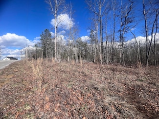 0 Kyuga Dr Unit 1387412, New Hope, TN 37380