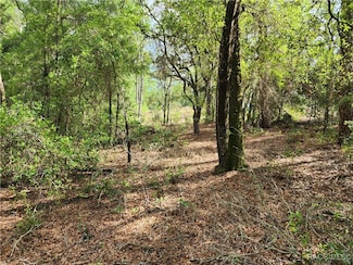 11107 N Mataro Ave, Dunnellon, FL 34434