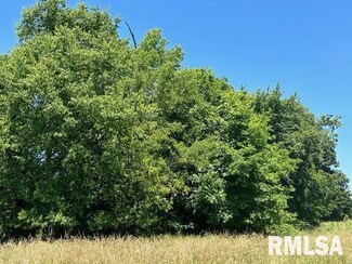 000 County Road 900 N, Dale, IL 62859