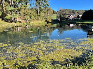 255 Central Heights Rd, Blountville, TN 37617