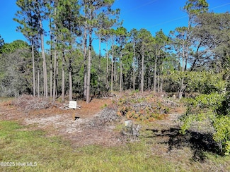 1349 Lexington Rd, Boiling Spring Lakes, NC 28461