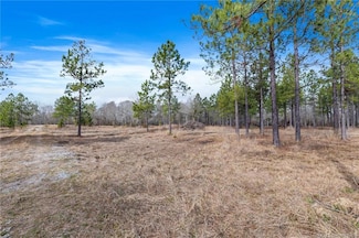 0 Conway Rosteet Rd Tract 3 Unit Tract 3, Ragley, LA 70657