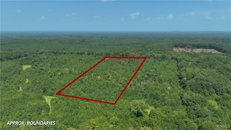 000 Federation Rd, Gainesville, AL 35464