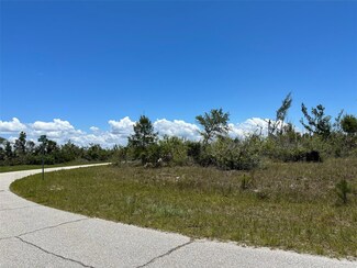 16285 Rennie Rd, South Gulf Cove, FL 33981
