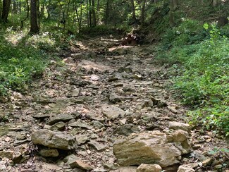 0 Branch Rd, East Fulton Township, MO 65251