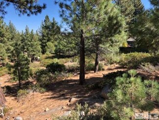 955 Blue Spruce Rd, Reno, NV 89511