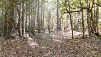 1195 Idlewild Dr, Cave Junction, OR 97523