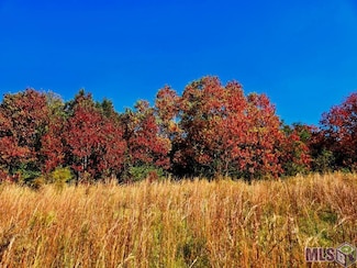 00 J L Robbins Rd, Carson, MS 39427