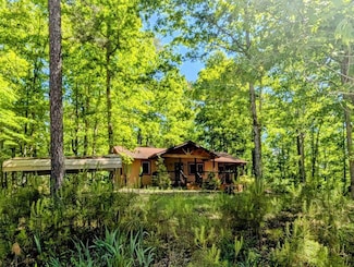314 Catawba Cir Unit 7037, Ellijay, GA 30540