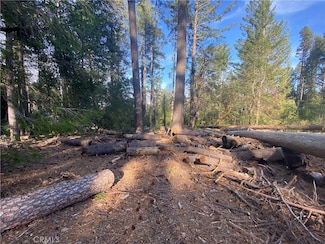 17095 Wildwood Way, Cobb, CA 95426