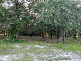 Lot 1 & 2 Saddle Cir, Waycross, GA 31503