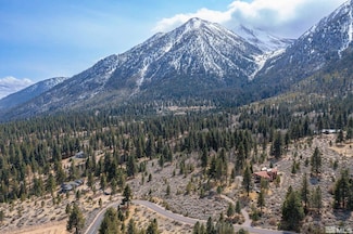 297 Five Creek Rd, Gardnerville, NV 89460