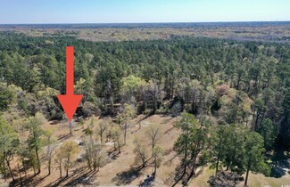 TBD Nichols St, Nichols, SC 29581