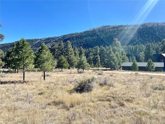 166 Lonesome Pine Dr Unit 166, Antonito, CO 81120