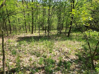 115C Lake Shore Dr, Jennerstown, PA 15547