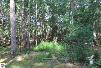 0 Vacant 10 Acr Clark Rd, Harrisville, MI 48740