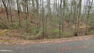 Lot 11 Peace Ln, Sevierville, TN 37876