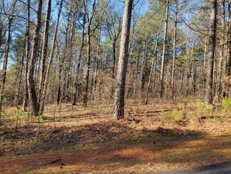 704 Timberbrook Trail, Salem, SC 29676
