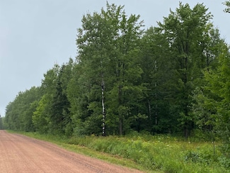 ON Hagar City Rd Unit Sale 2043-1, Merrill, WI 54452