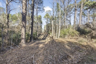 TBD La Hwy 967, Saint Francisville, LA 70775