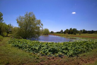 10515 Lockwood Rd, Perkins, OK 74059