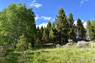 22 Blue Mountain View, Boulder, MT 59632