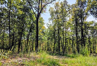 4.93 acres County Road 7160, Rolla, MO 65401