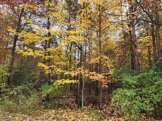 10053 Holly Ln, Canadian Lakes, MI 49346